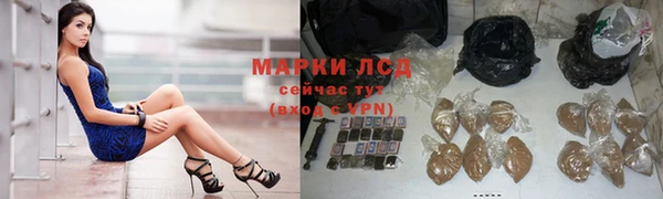 ПСИЛОЦИБИНОВЫЕ ГРИБЫ Алзамай