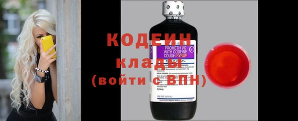 ПСИЛОЦИБИНОВЫЕ ГРИБЫ Алзамай