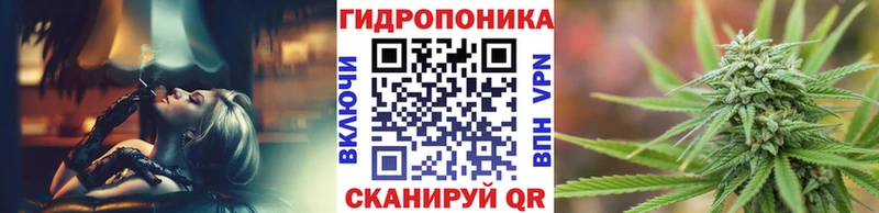 Марихуана конопля  Багратионовск 